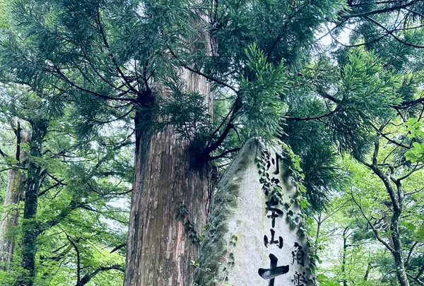 大山寺の写真・動画_image_699639