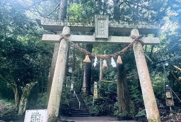 金持神社の写真・動画_image_699648