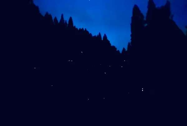 福万来ホタル乃国の写真・動画_image_699656