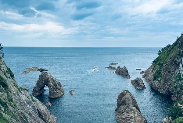 千貫松島の写真・動画_image_699728