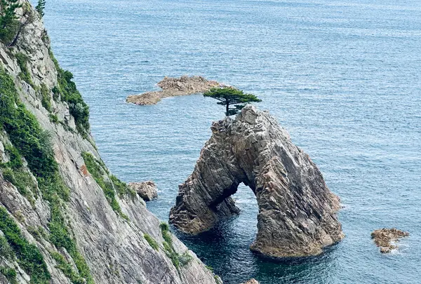 千貫松島の写真・動画_image_699730