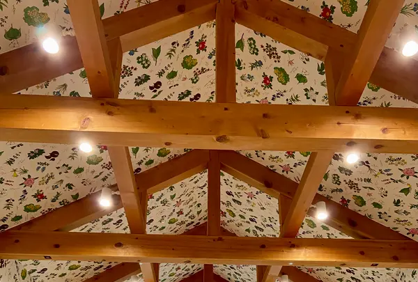 六花の森の写真・動画_image_700202