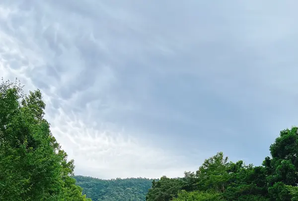 彫刻の森美術館の写真・動画_image_700832