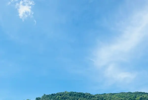 福泊海水浴場の写真・動画_image_700945