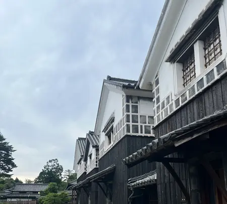 旧野﨑家住宅の写真・動画_image_701174