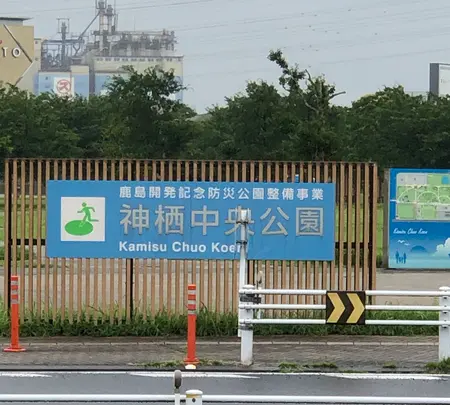 桜花 (映画撮影用復元機)の写真・動画_image_701644