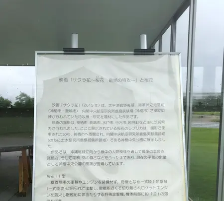 桜花 (映画撮影用復元機)の写真・動画_image_701645