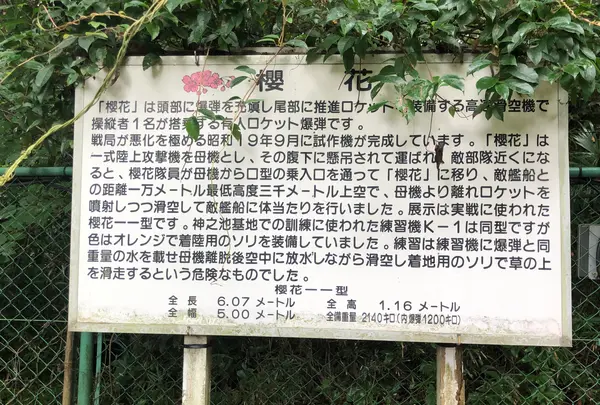 櫻花公園の写真・動画_image_701653