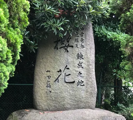 櫻花公園の写真・動画_image_701654