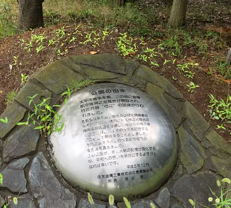 櫻花公園の写真・動画_image_701655