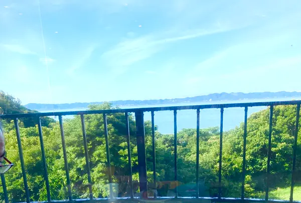 グランドメルキュール南房総リゾート＆スパの写真・動画_image_701737
