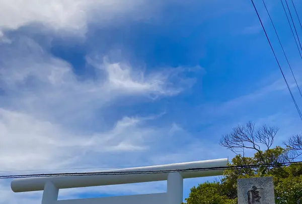安房神社の写真・動画_image_701740