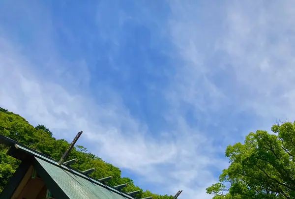 安房神社の写真・動画_image_701742