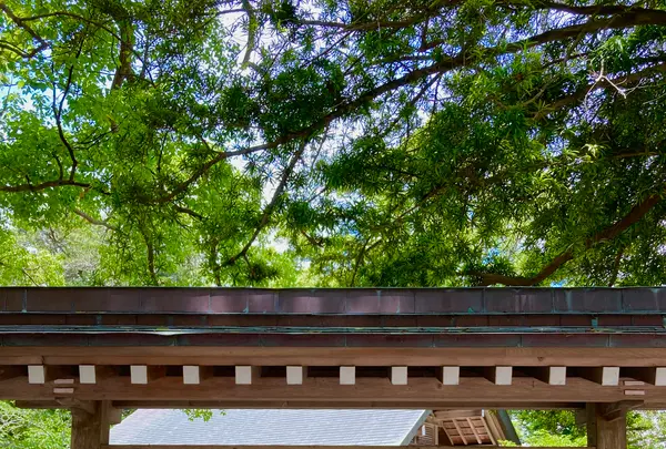 安房神社の写真・動画_image_701747