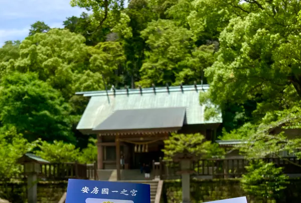 安房神社の写真・動画_image_701748