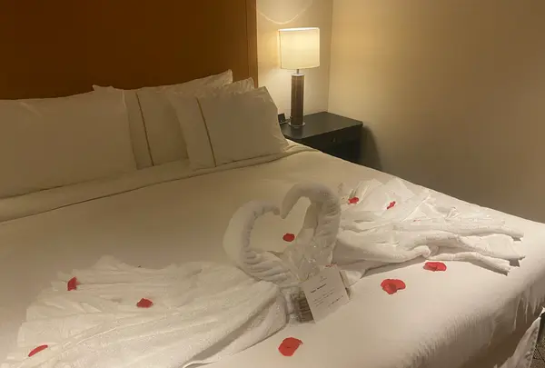 シェラトン都ホテル大阪の写真・動画_image_702082