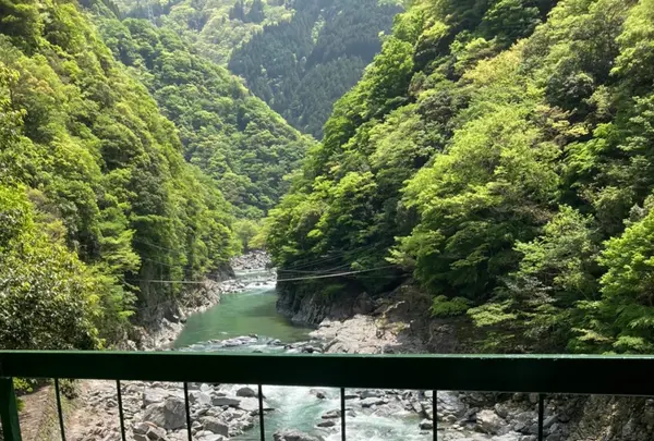 和の宿 ホテル祖谷温泉 Hotel Iyaonsenの写真・動画_image_703697