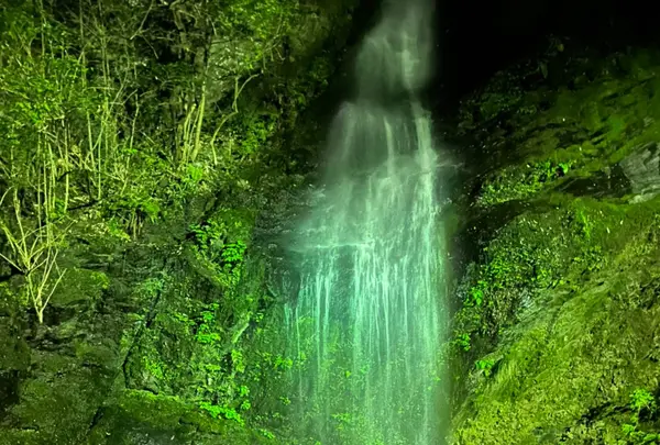 祖谷のかずら橋の写真・動画_image_703702