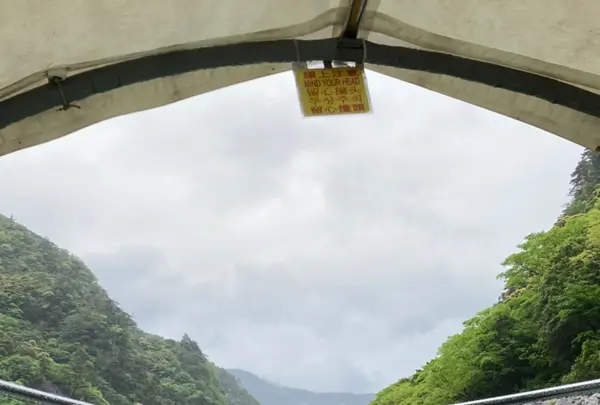 大歩危の写真・動画_image_703729