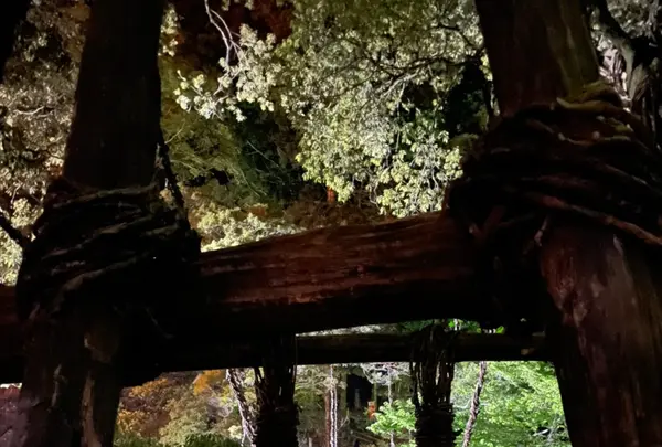 祖谷のかずら橋の写真・動画_image_703778