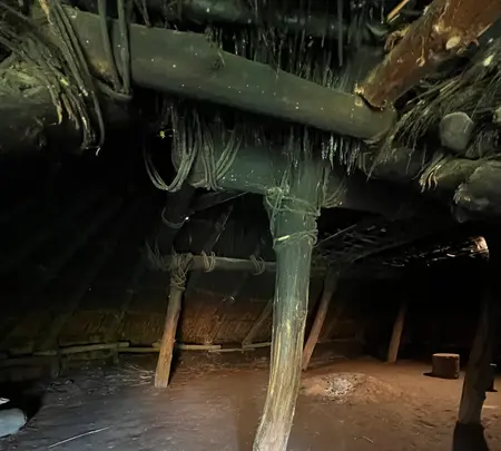 北黄金貝塚の写真・動画_image_706297