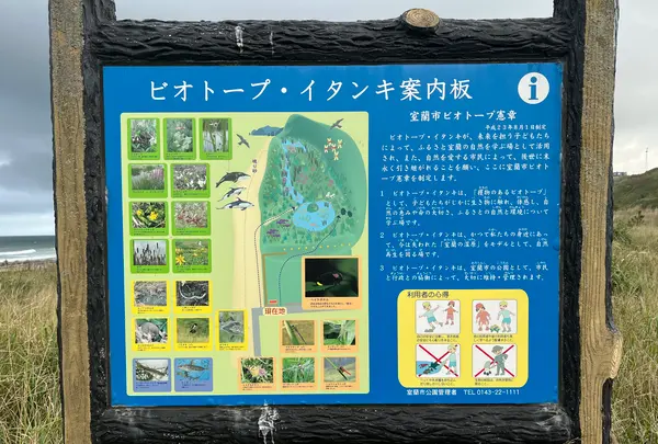 イタンキ浜の写真・動画_image_706326