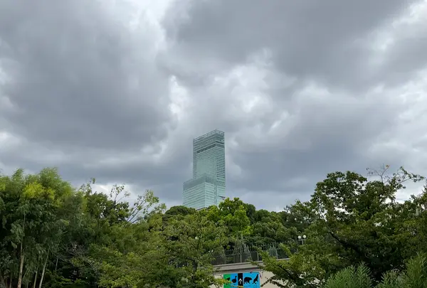 天王寺動物園の写真・動画_image_706770