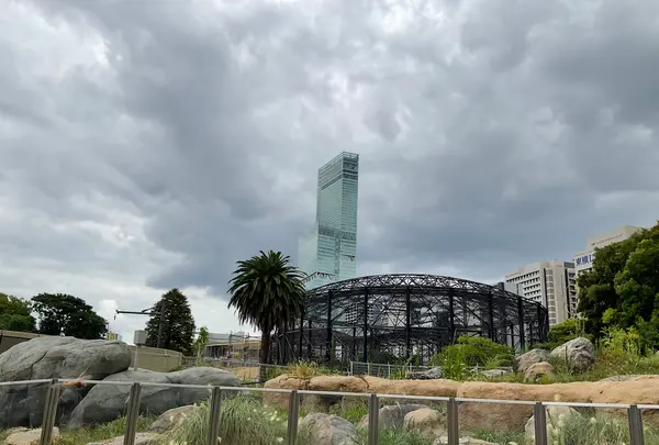 天王寺動物園の写真・動画_image_706771