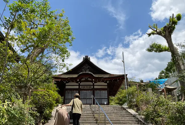 宇治上神社の写真・動画_image_707252