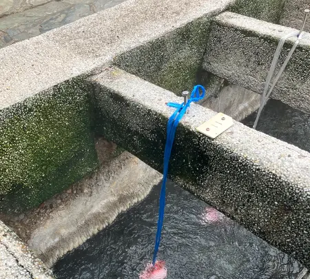 荒湯の写真・動画_image_708012