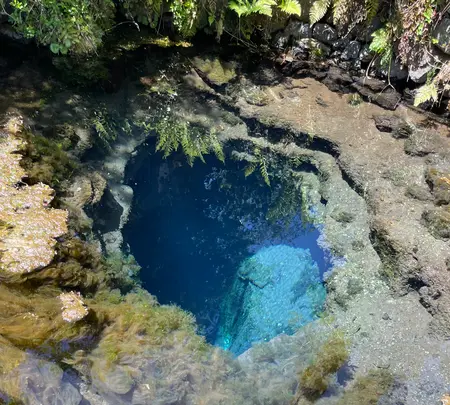 お釜池の写真・動画_image_708890