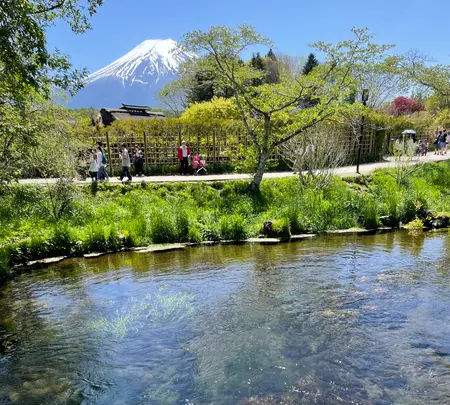 濁池の写真・動画_image_708896