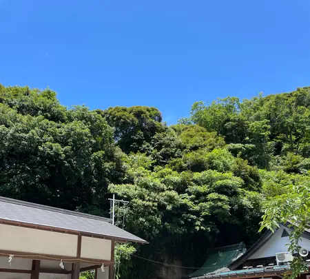 銭洗弁財天 宇賀福神社の写真・動画_image_708903