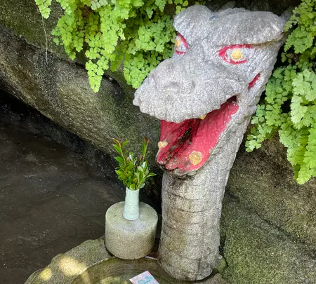 銭洗弁財天 宇賀福神社の写真・動画_image_708905