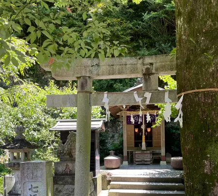 銭洗弁財天 宇賀福神社の写真・動画_image_708906