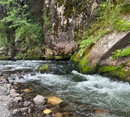 仙娥滝の写真・動画_image_709405