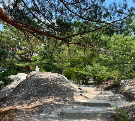 昇仙峡ロープウエイの写真・動画_image_709411