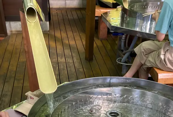 小松沢レジャー農園の写真・動画_image_710735