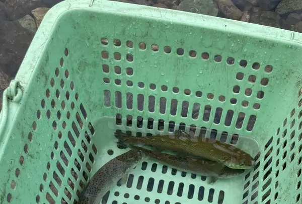 小松沢レジャー農園の写真・動画_image_710736