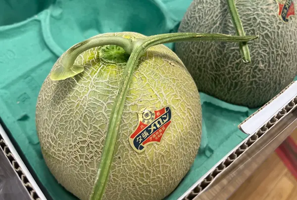 北海道どさんこプラザ有楽町店の写真・動画_image_711329