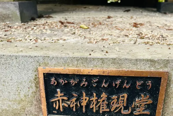 赤神神社五社堂の写真・動画_image_713643