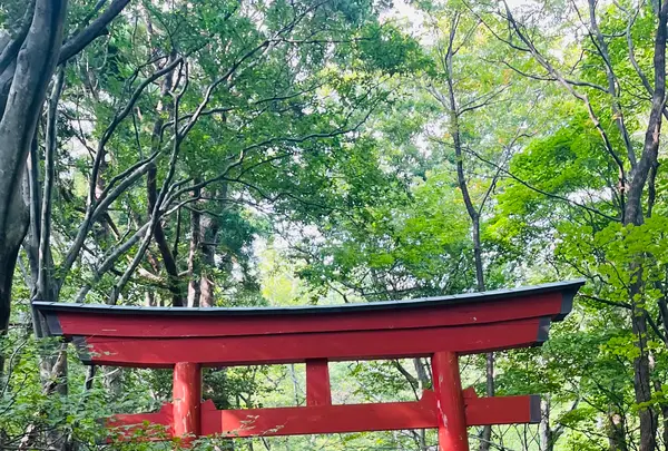赤神神社五社堂の写真・動画_image_713645