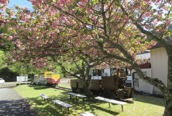 生野銀山の写真・動画_image_713772