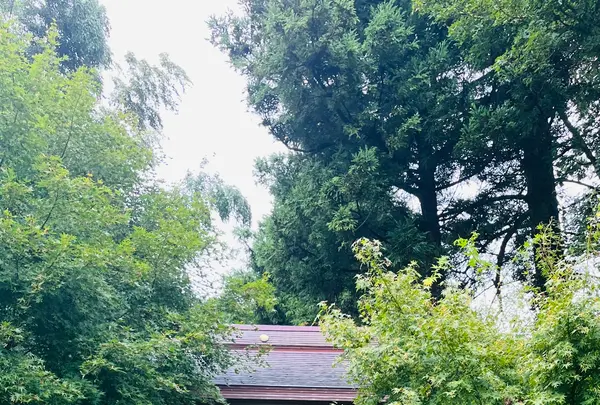 雲昌寺の写真・動画_image_714272