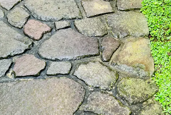 雲昌寺の写真・動画_image_714273