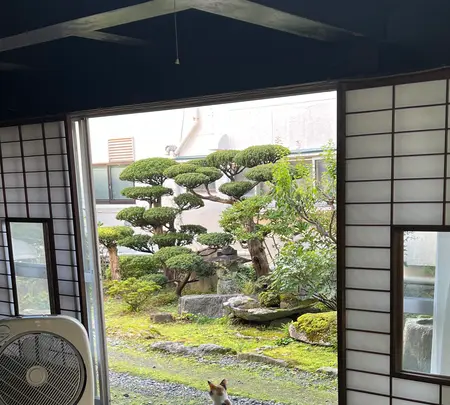 民宿古軒の写真・動画_image_714332