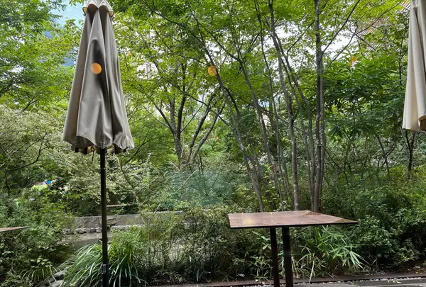 TWELVE GARDENS BAR & GRILLの写真・動画_image_715084