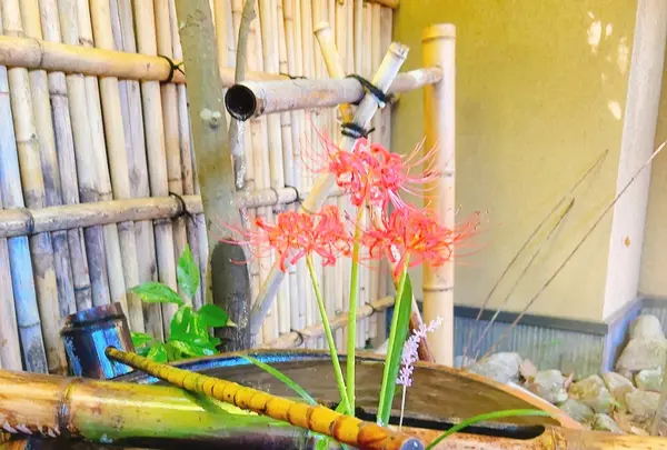 旅亭田乃倉の写真・動画_image_715254