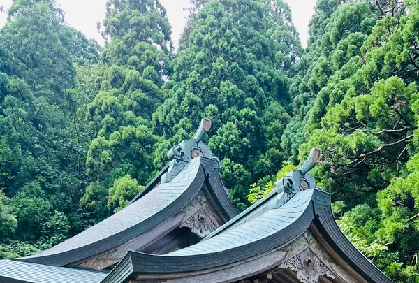 真山神社の写真・動画_image_716487