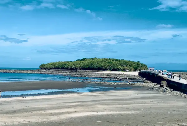 日南海岸国定公園青島の碑の写真・動画_image_717810